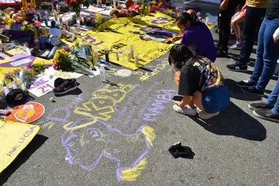 DSC_7141 (Large).JPG